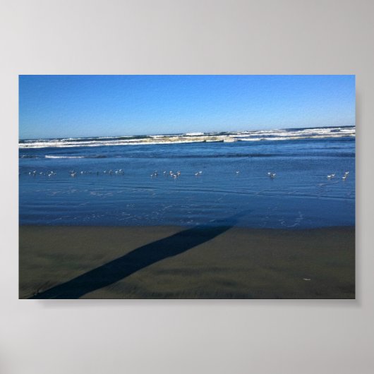 Long Beach, Washington Poster (Voorkant)