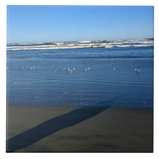 Long Beach, Washington Tegeltje (Voorkant)