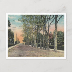 Long Branch NJ Cedar Ave 1911  stijl Briefkaart