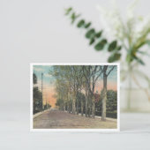 Long Branch NJ Cedar Ave 1911  stijl Briefkaart (Staand voorkant)