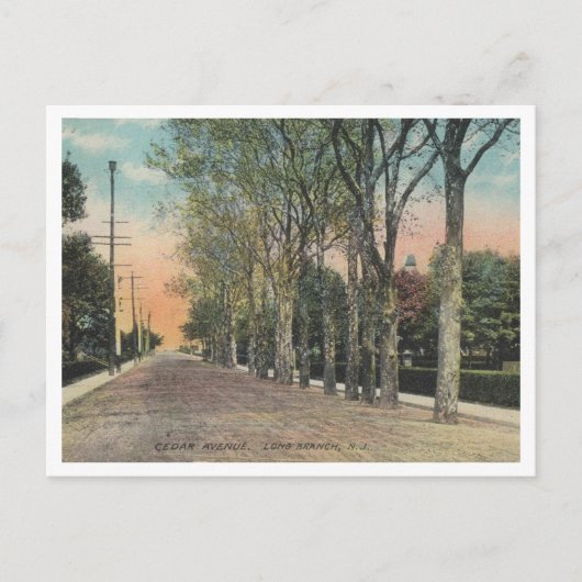 Long Branch NJ Cedar Ave 1911  stijl Briefkaart (Voorkant)