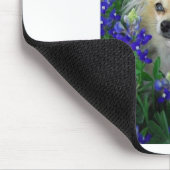 Long Coat Chihuahua in Blue Bonnets Muismat (Hoek)