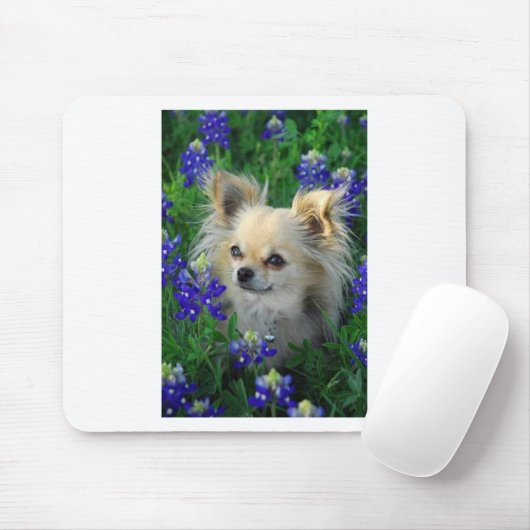 Long Coat Chihuahua in Blue Bonnets Muismat (Met muis)