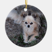 Long Coat Chihuahua Keramisch Ornament (Voorkant)
