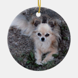 Long Coat Chihuahua Keramisch Ornament