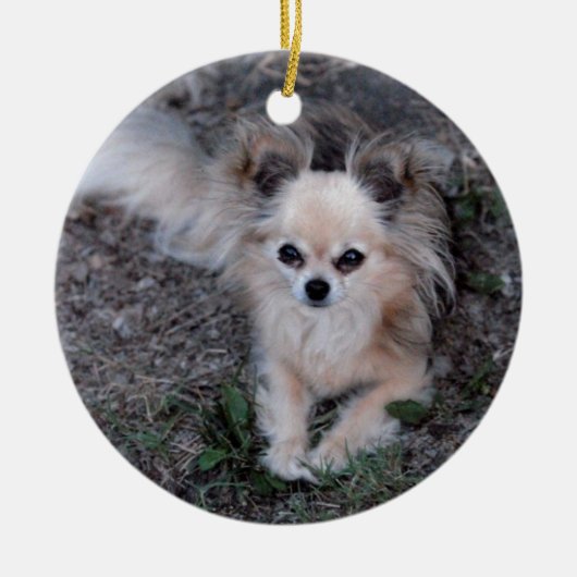 Long Coat Chihuahua Keramisch Ornament (Voorkant)