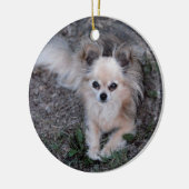 Long Coat Chihuahua Keramisch Ornament (Links)