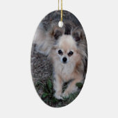 Long Coat Chihuahua Keramisch Ornament (Rechts)