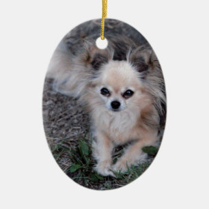Long Coat Chihuahua Keramisch Ornament