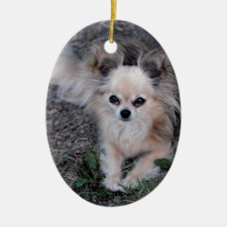 Long Coat Chihuahua Keramisch Ornament