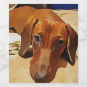 Long Dachshund Is Lying On The Bed Wijn Etiket (Enkel label)