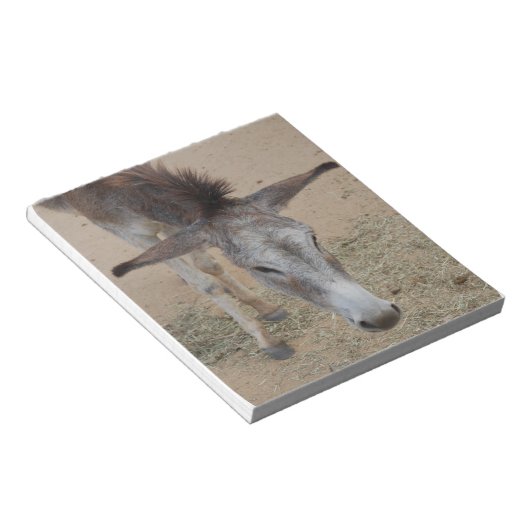 Long Eared Donkey Notitieblok (Schuin)