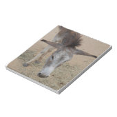 Long Eared Donkey Notitieblok (Linkerzijde)