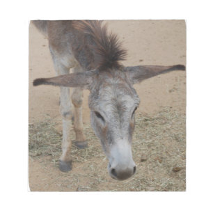 Long Eared Donkey Notitieblok
