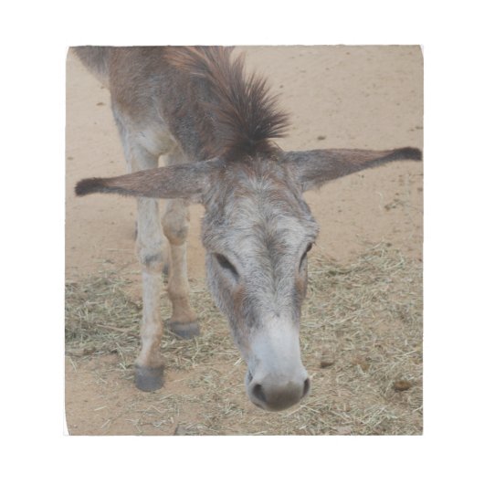 Long Eared Donkey Notitieblok (Voorkant)