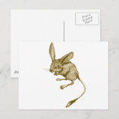 Long eared Jerboa Briefkaart (Voorkant / Achterkant)
