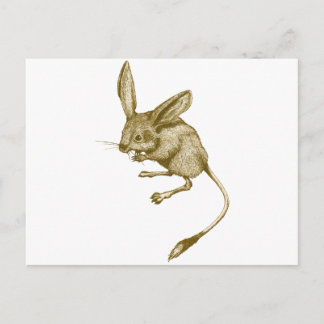 Long eared Jerboa Briefkaart
