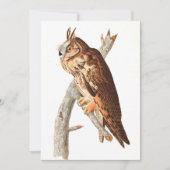 Long Eared Owl door John James Audubon Bedankkaart (Voorkant)