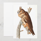 Long Eared Owl door John James Audubon Bedankkaart (Voorkant / Achterkant)