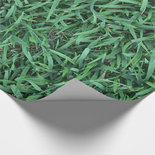 Long Green Grass Texture Cadeaupapier (Hoek)