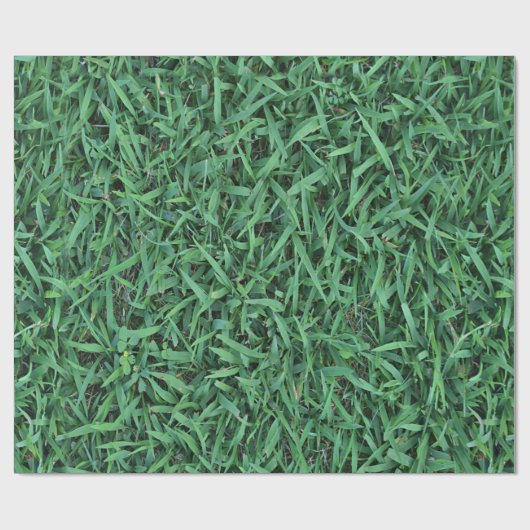 Long Green Grass Texture Cadeaupapier (Vlak)