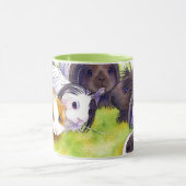 Long Hair Cavies Mok (Midden)