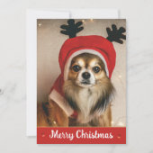 Long Hair Chihuahua Pet Funny Cute Dog Kerstmis Feestdagenkaart (Voorkant)