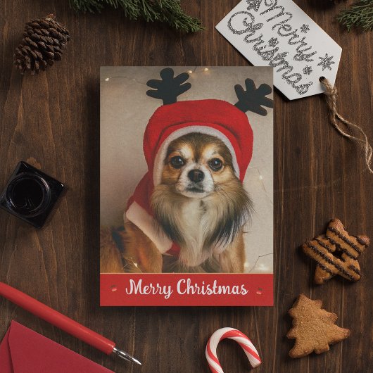 Long Hair Chihuahua Pet Funny Cute Dog Kerstmis Feestdagenkaart