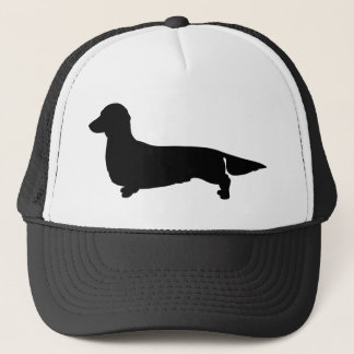 Long Hair Dachshund Ball Pet
