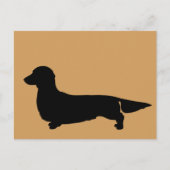 Long Hair Dachshund Briefkaart (Voorkant)
