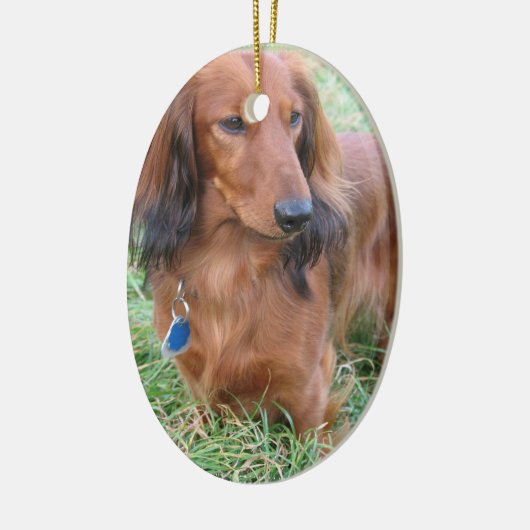 Long Hair Dachshund Ornament (Links)