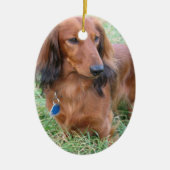 Long Hair Dachshund Ornament (Voorkant)