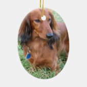 Long Hair Dachshund Ornament (Achterkant)