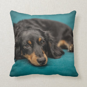 Long-Hair Dachshund Pillow Kussen