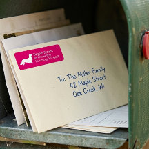 Long Hair Dachshund | Roze label voor retouradres