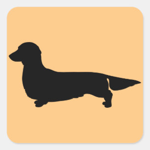 Long Hair Dachshund Square Sticker