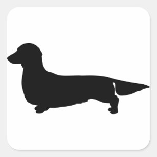 Long Hair Dachshund Square Sticker