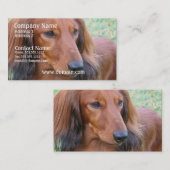 Long Hair Dachshund Visitekaartje (Voorkant / Achterkant)
