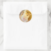 Long Hair Guinea Pig Ronde Sticker (Tas)