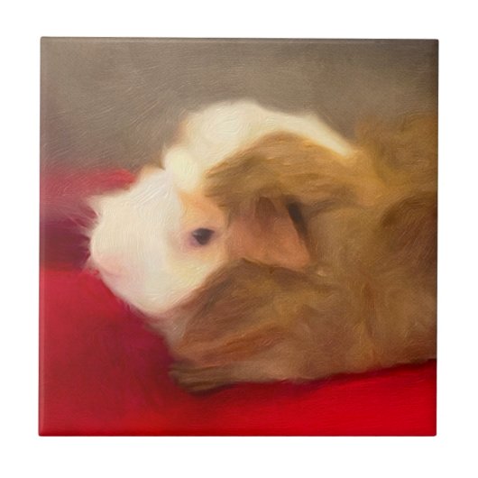 Long Hair Guinea Pig Tegeltje (Voorkant)