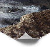 Long Hair Russian Blue Nebelung Cat Poster (Hoek)