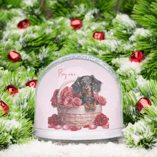 Long Hair Teckel Rozen Sneeuwbol (Kerstmis)
