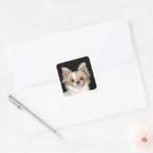 Long haire Chihuahua Vierkante Sticker (Envelop)