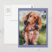 Long Haire Dachshund-briefkaart Briefkaart (Voorkant / Achterkant)