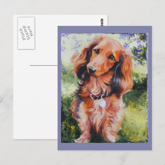 Long Haire Dachshund-briefkaart Briefkaart (Voorkant / Achterkant)