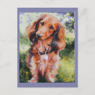 Long Haire Dachshund-briefkaart Briefkaart