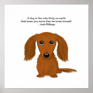 Long Haire Dachshund met Josh Billings Quote Poster