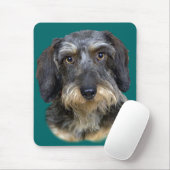 Long Haire Dachshund Portrait Gifts Muismat (Met muis)