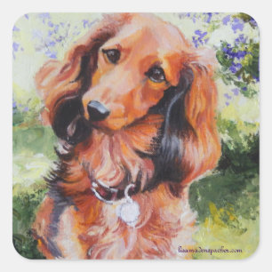 Long Haire Dachshund sticker