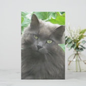 Long Haire Grey Blue Cat Briefpapier (Staand voorkant)